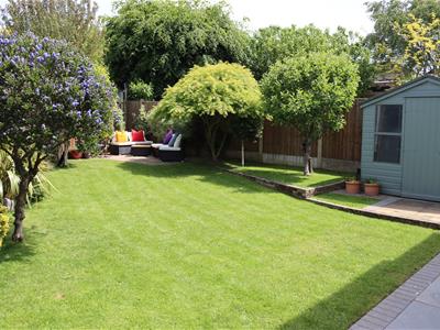 Picture 19